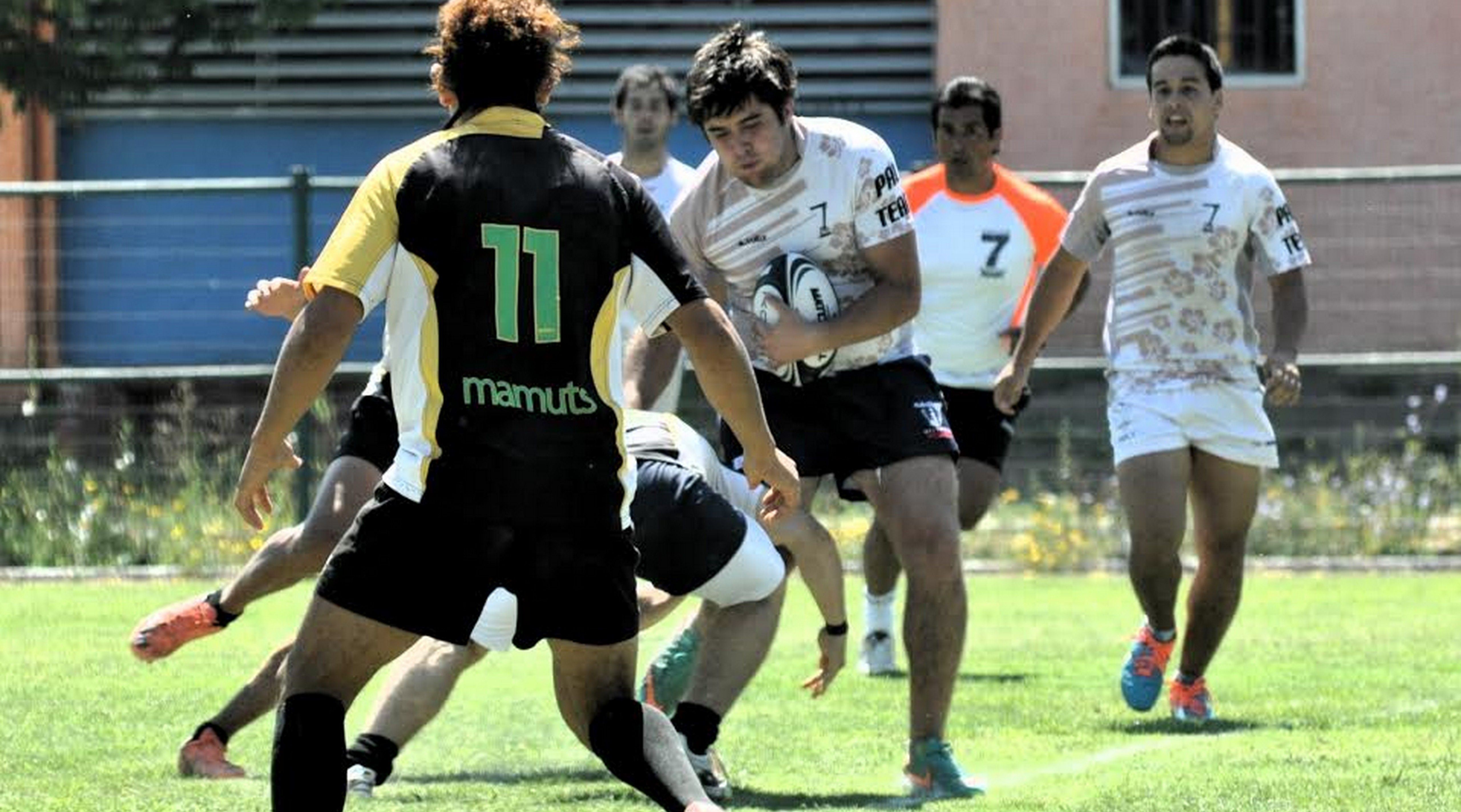 Este sábado se realizará una nueva versión del «Seven a Side de Rugby Machalí»