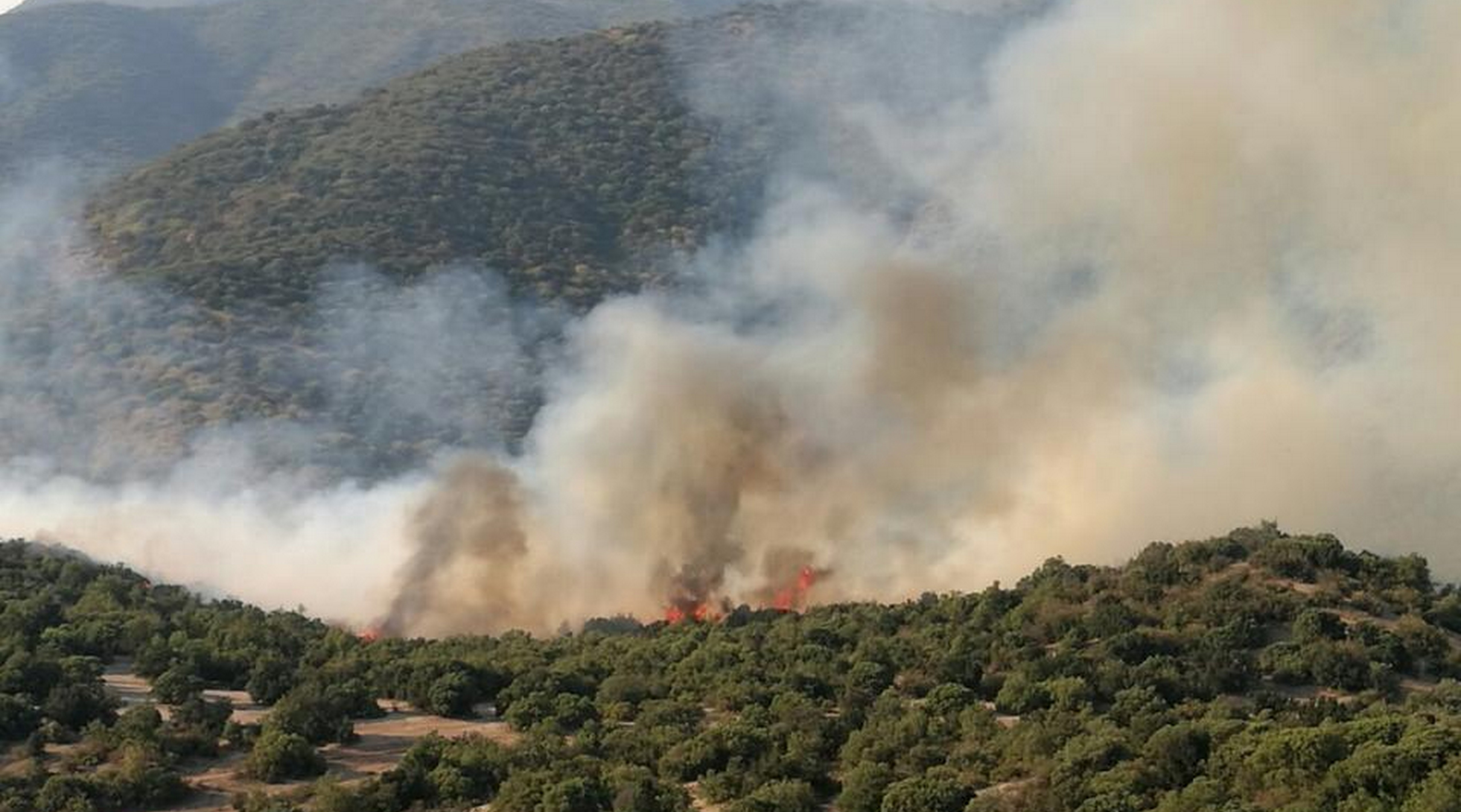 Cerca de 5 hectáreas consumió incendio forestal en Machalí
