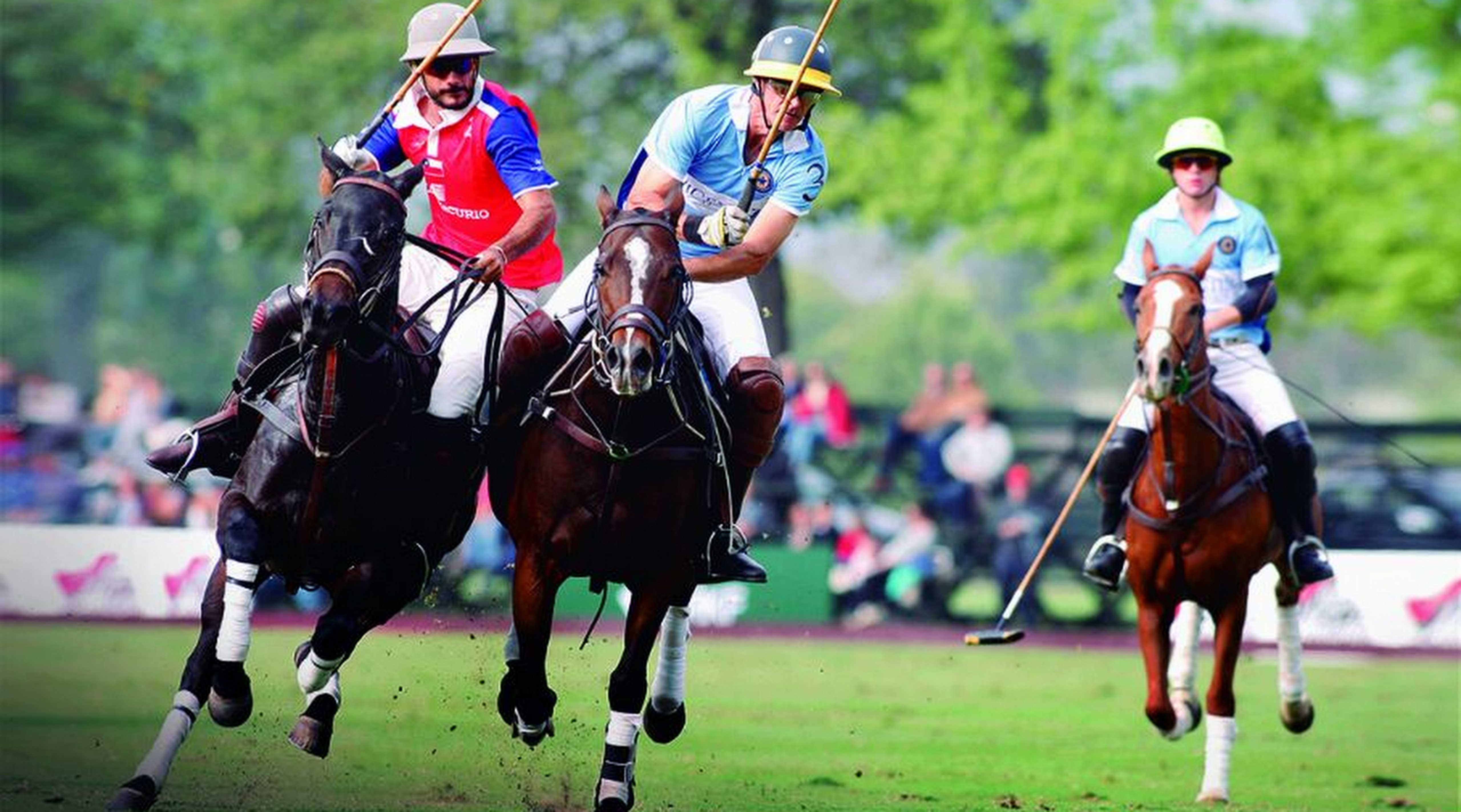 Campeonato de Polo y actividades para la familia este fin de semana en Machalí