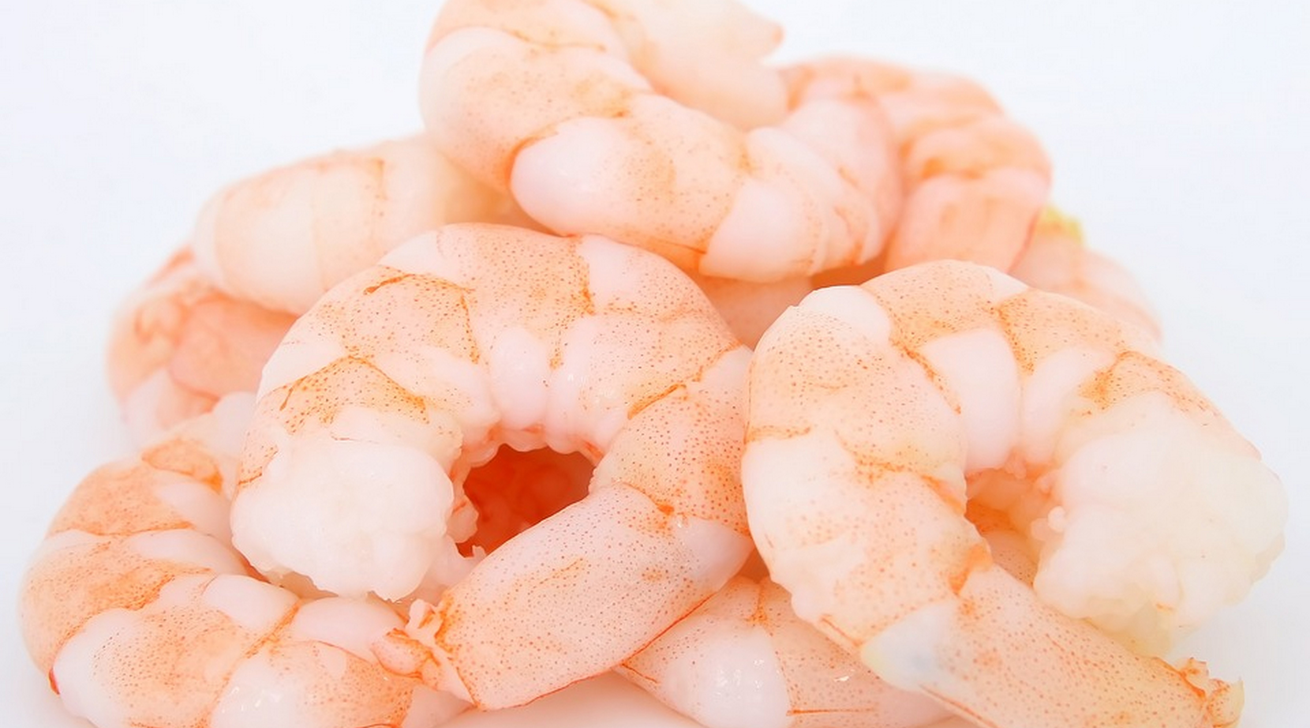 Seremi de Salud O´Higgins alerta sobre camarón con Salmonella