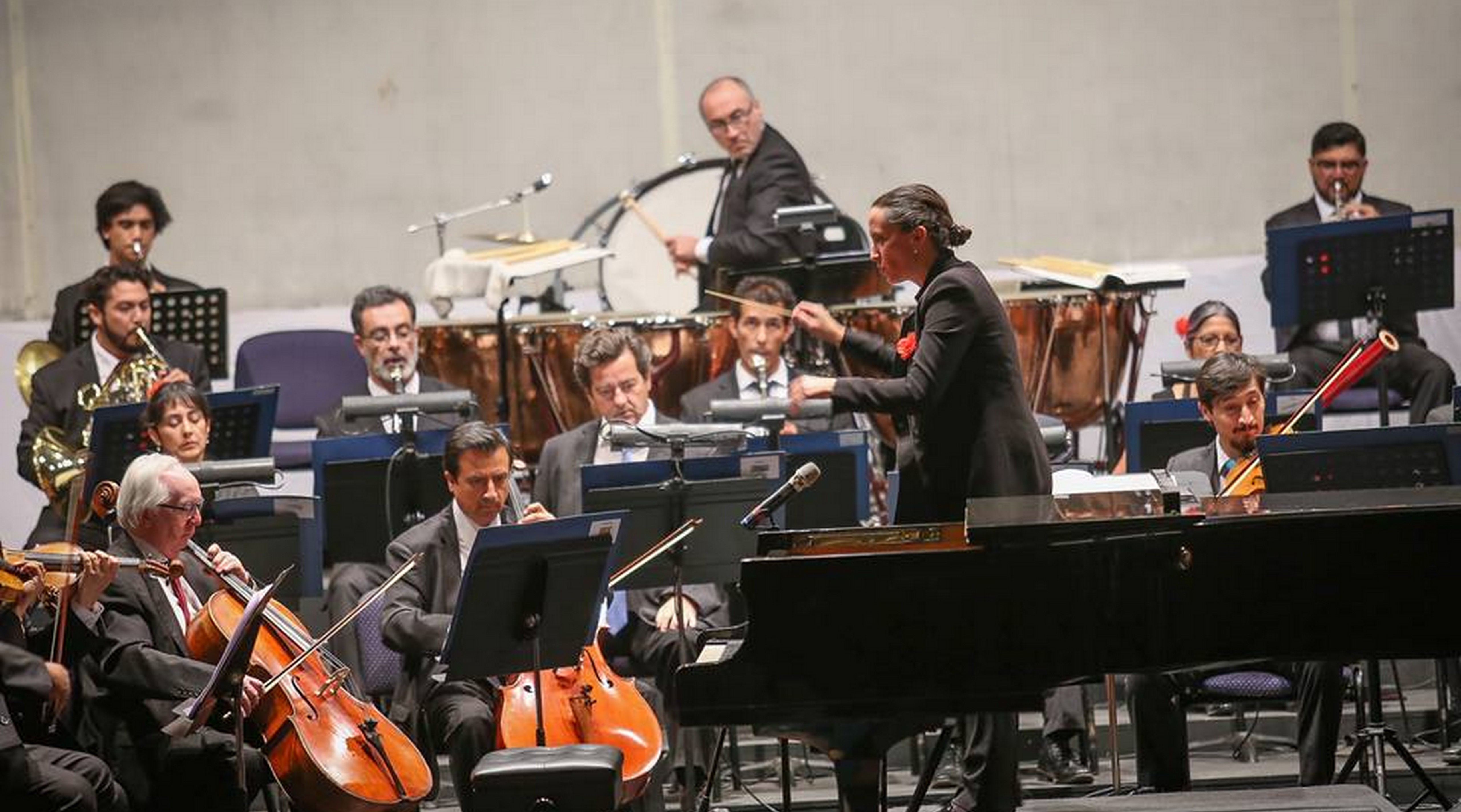 Orquesta de Cámara de Chile presentará concierto gratuito en Machalí