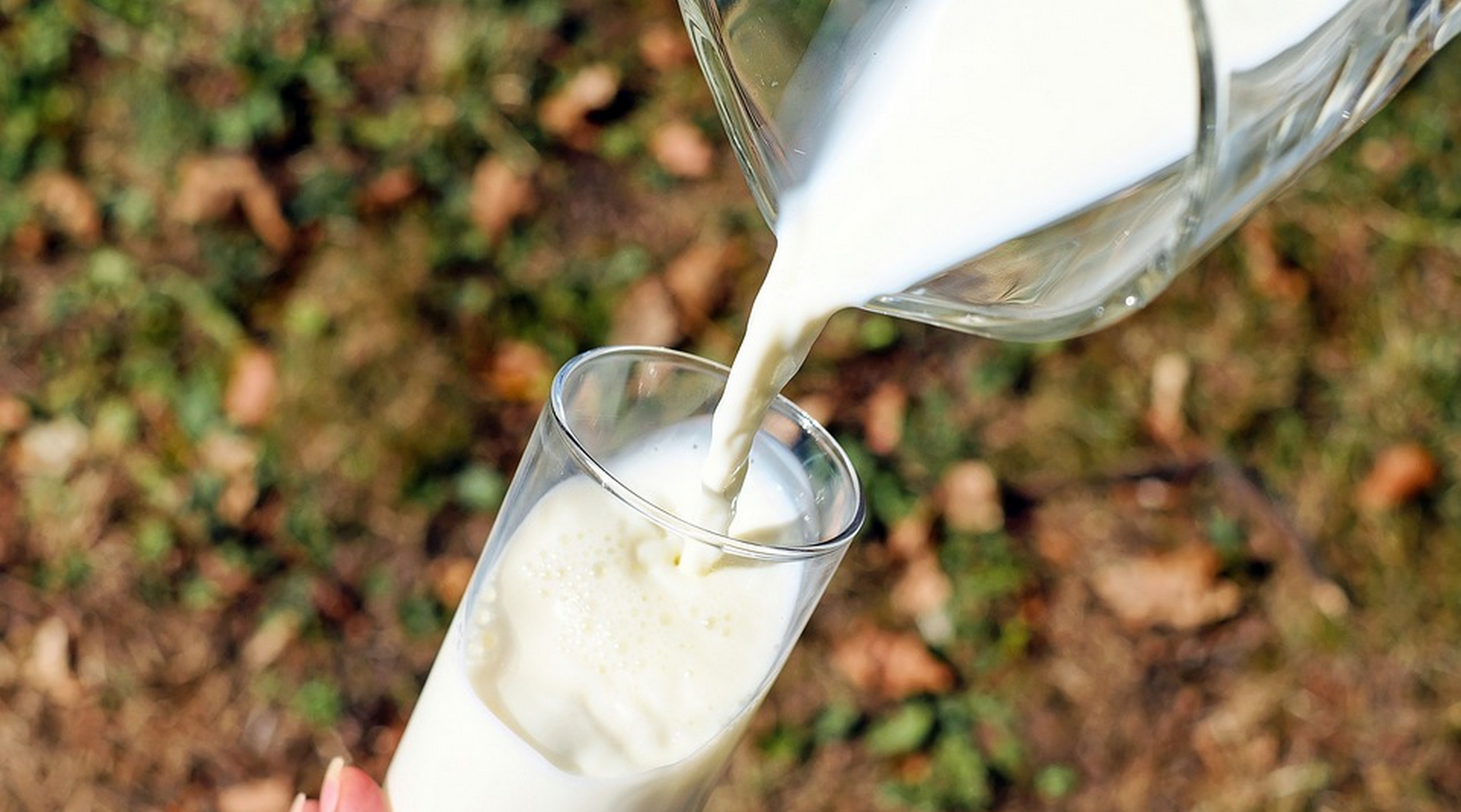 Minsal emite Alerta Alimentaria por bacteria en dos marcas de leche