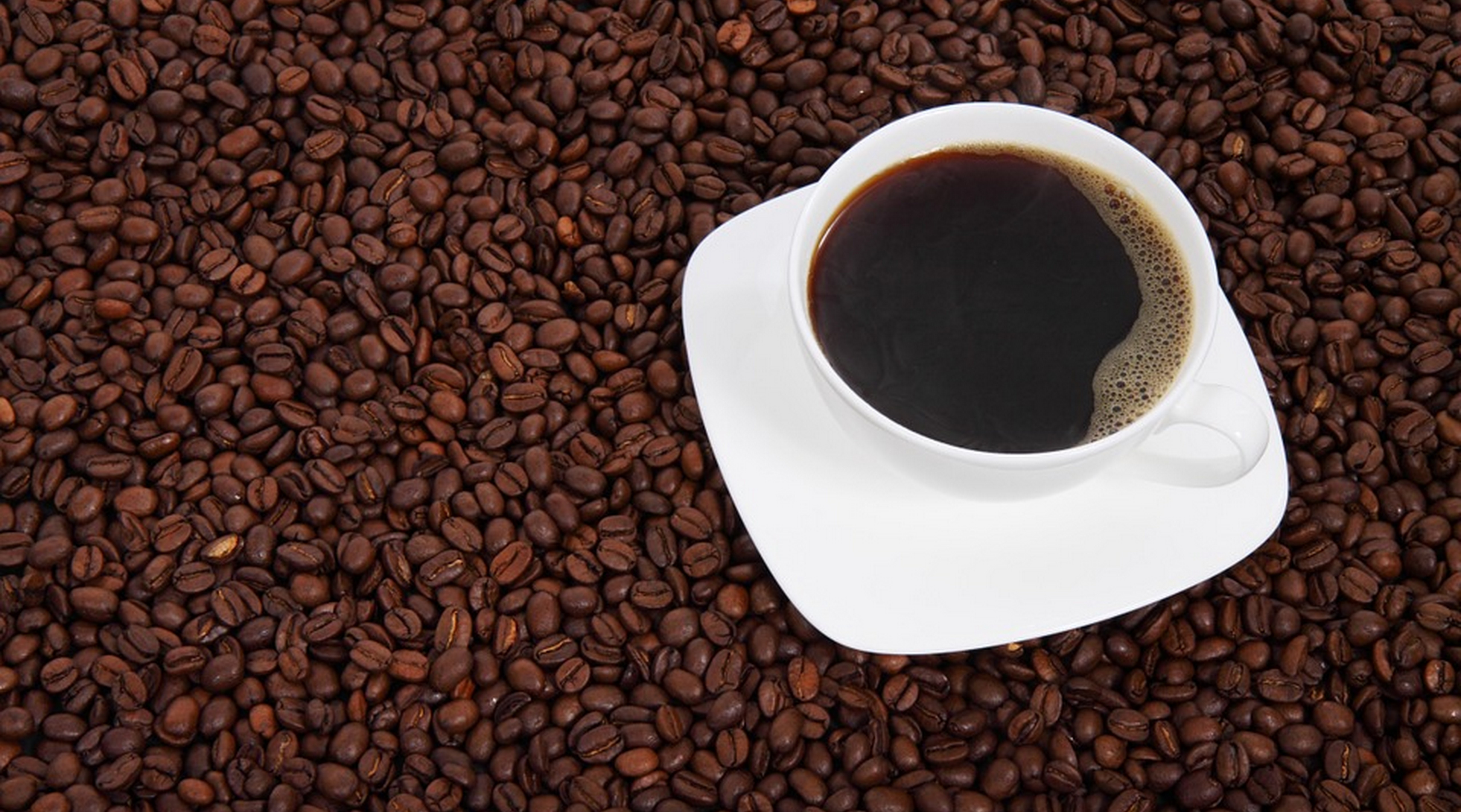 Alerta Alimentaria por presencia de Ocratoxina en dos lotes de Café