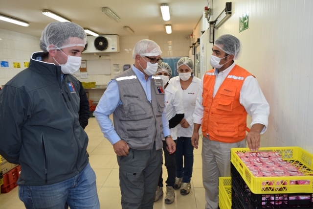 Autoridad Sanitaria fiscaliza instalaciones de El Teniente