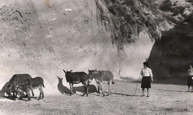 Las Cuevas del Cajón de Machalí