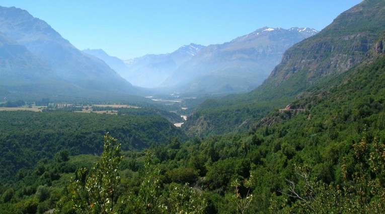 Declaran Alerta Roja para Machali por incendio forestal “Ranchillo”