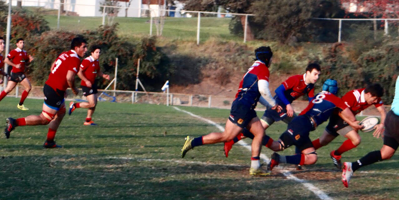 Los Tordos van por la «Copa de Oro» en rugby Arusa