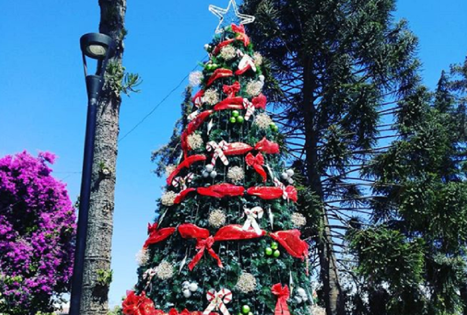 Este Viernes en Machalí: Encendido del árbol y llegada de viejito pascuero