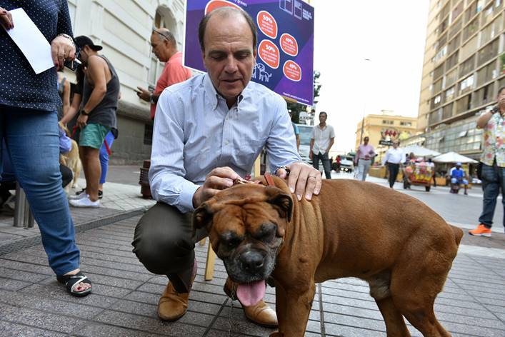 58% de los vecinos de Rancagua – Machalí consideran a los perros callejeros como el principal problema de sus barrios