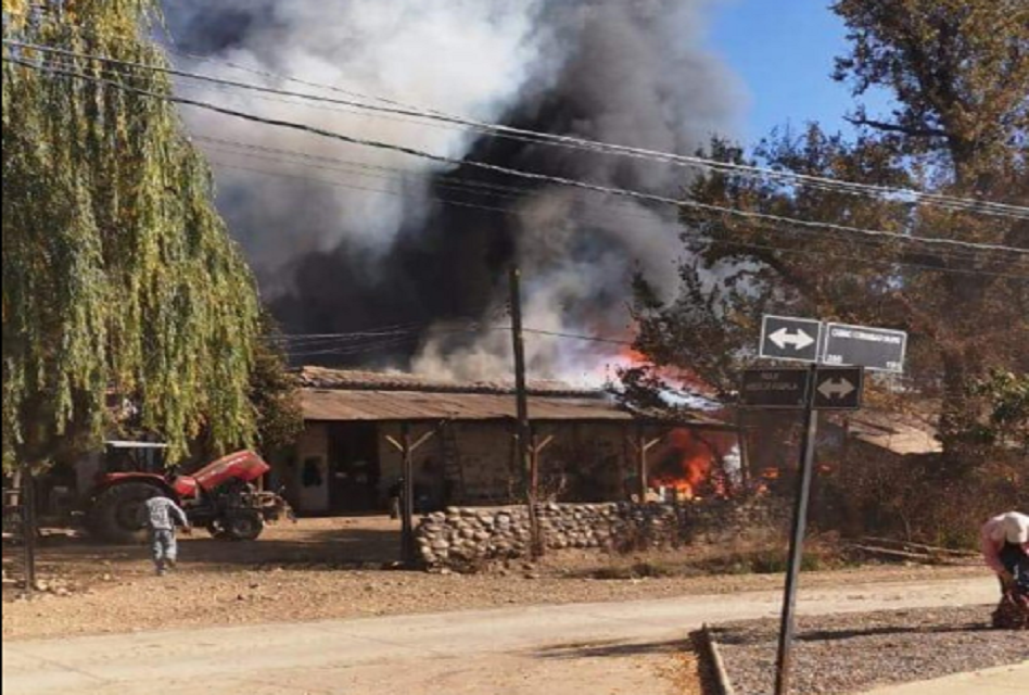 Incendio afectó a fundo de Comunidad Bravo en Machalí
