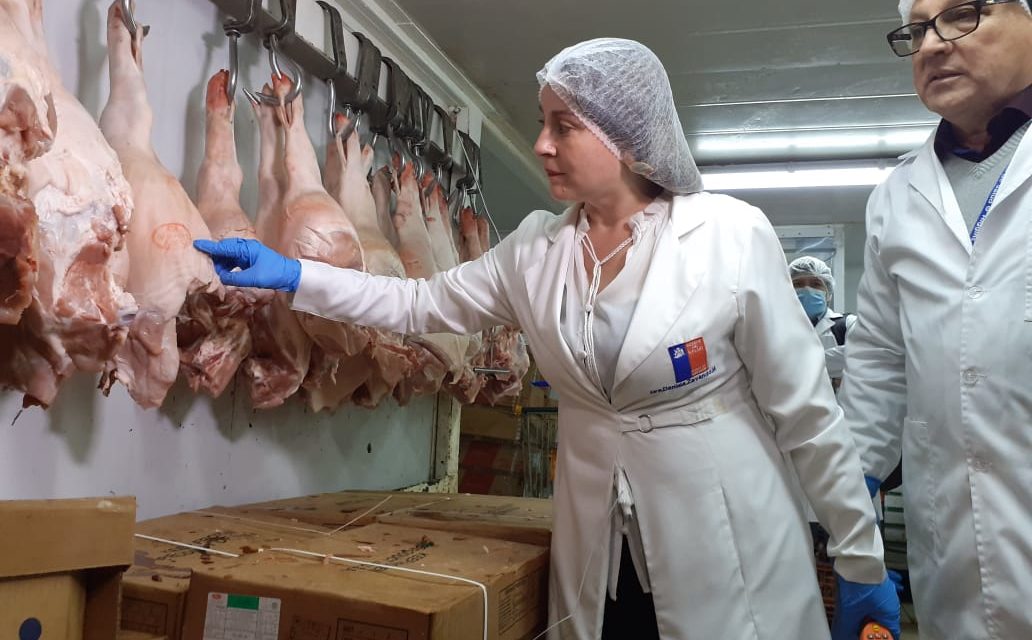 41 sumarios sanitarios y 500 kilos de carne ha decomisado la Seremi de Salud O´Higgins en la previa a las Fiestas Patrias