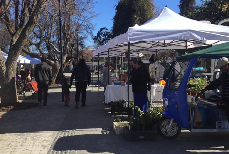 Primera ExpoPyme llega este finde a Machalí