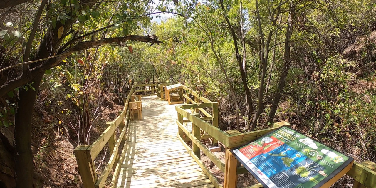 Sendero del agua y experiencia de realidad virtual: Lo nuevo de la Ruta del Tricahue