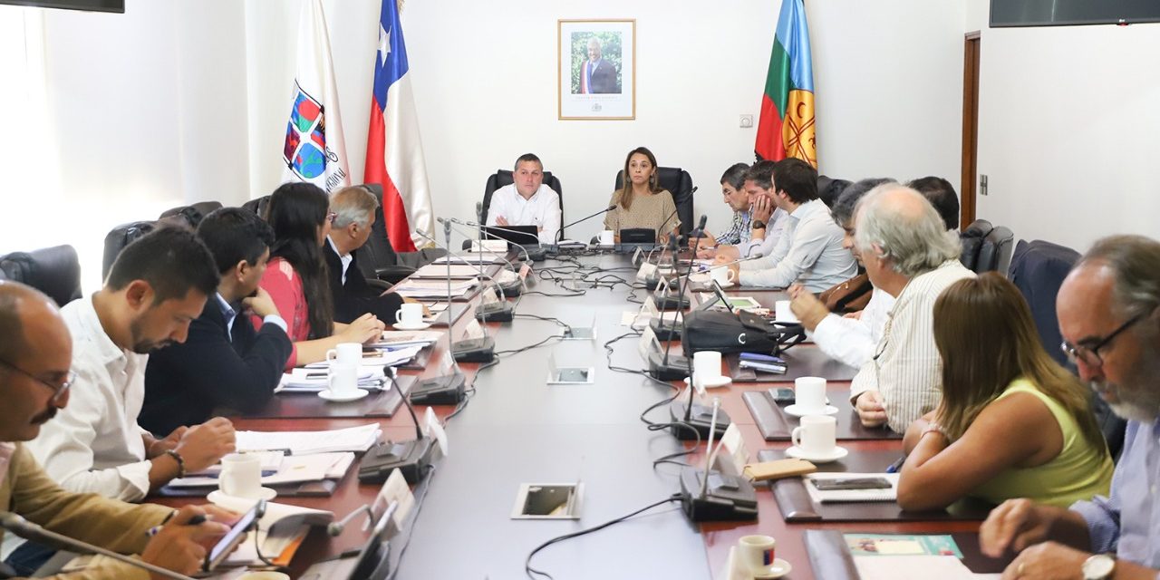 Gobierno Regional anuncia inversión de más de 3 mil millones de pesos para compra de equipamiento de urgencia para enfrentar Covid-19