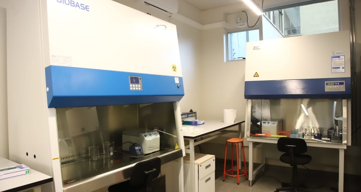 Universidad de O’Higgins comenzó a procesar PCR para detectar Covid-19