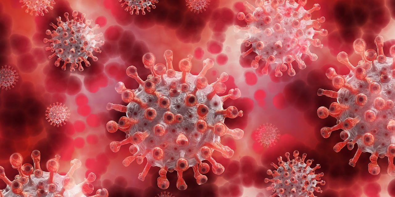 Informan 125 nuevos casos de coronavirus en O´Higgins
