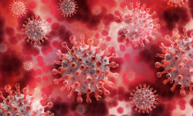 Bajan casos de coronavirus: O´Higgins reportó 39 nuevos contagios