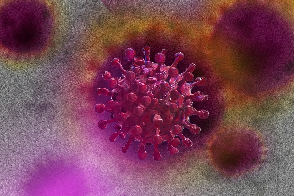 188 nuevos casos de Coronavirus en O´Higgins