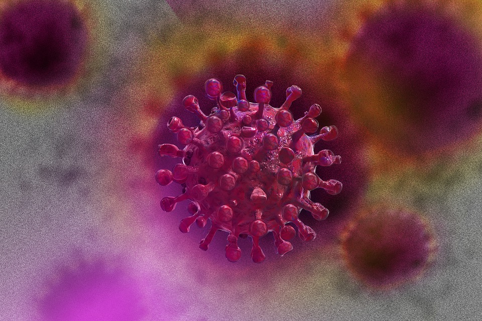 227 nuevos casos de coronavirus en O´Higgins