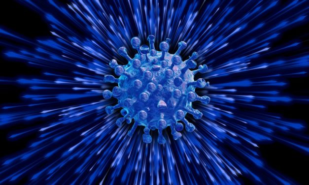 147 nuevos casos de coronavirus en O´Higgins