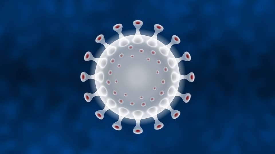 O´Higgins reportó 26 nuevos casos de coronavirus