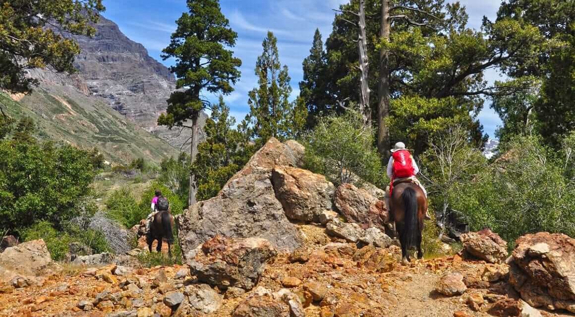 Reabren la Reserva Nacional Río de Los Cipreses