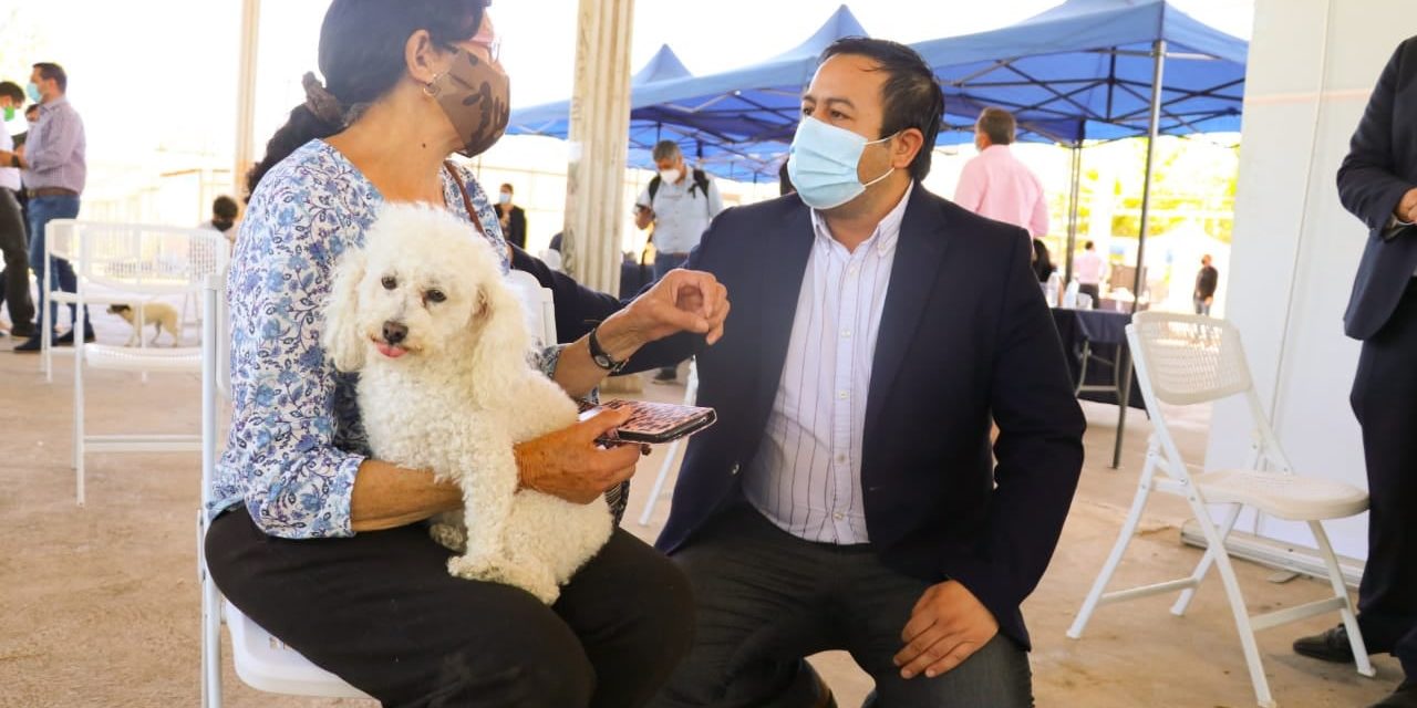 Plan Veterinario en Terreno benefició a cerca de 200 mascotas en Machalí