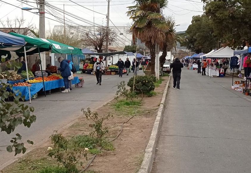 Revisa los días y horarios de las Ferias libres de Machali