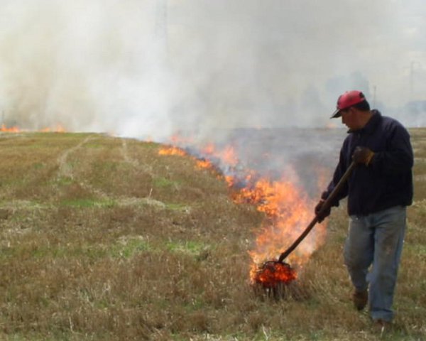 Suspenden quemas agrícolas controladas para todas las comunas de la Región de O’Higgins