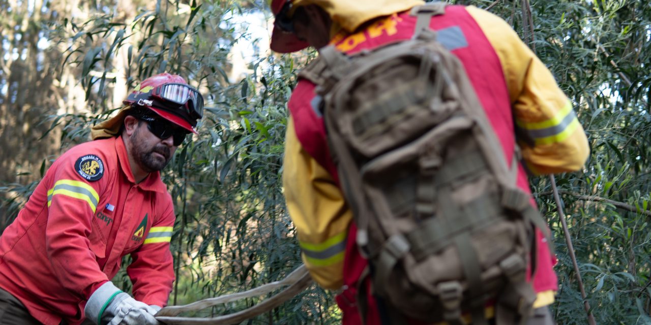 Conaf O’Higgins hace llamado para ser parte de los brigadistas de incendios