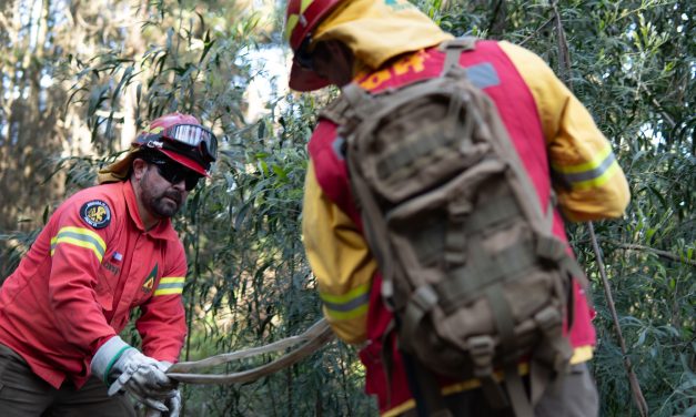 Conaf O’Higgins hace llamado para ser parte de los brigadistas de incendios